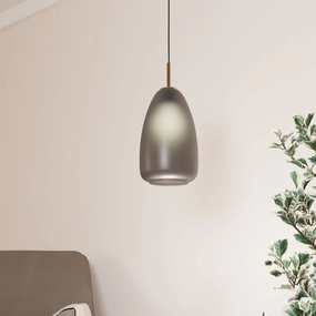 Eglo Alobrase Rounded Smoked Glass Ceiling Pendant sleek LED ceiling lamp
