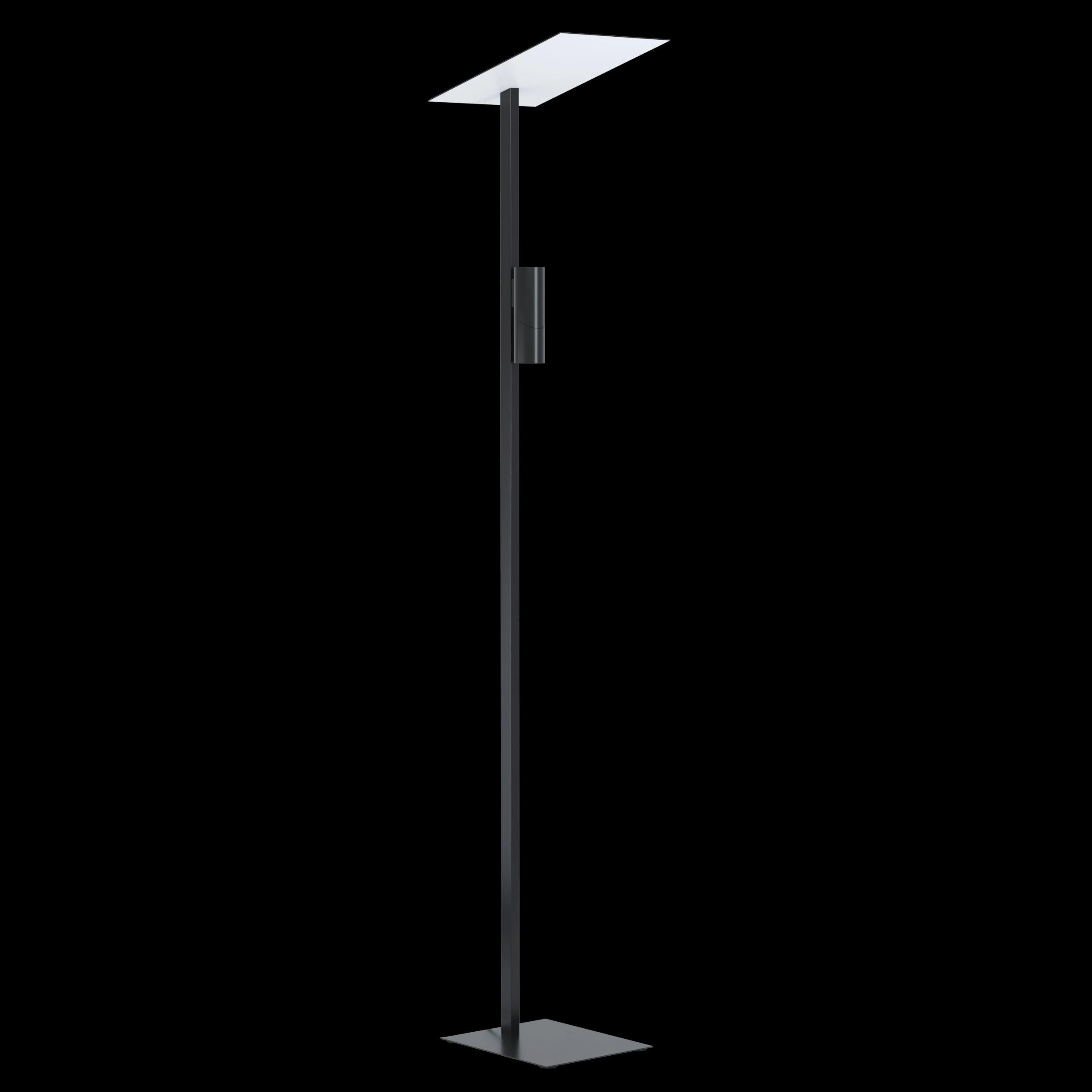 Eglo Budensea Modern Black Floor Lamp