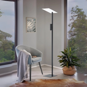 Eglo Budensea Modern Black Floor Lamp creative lampshade design