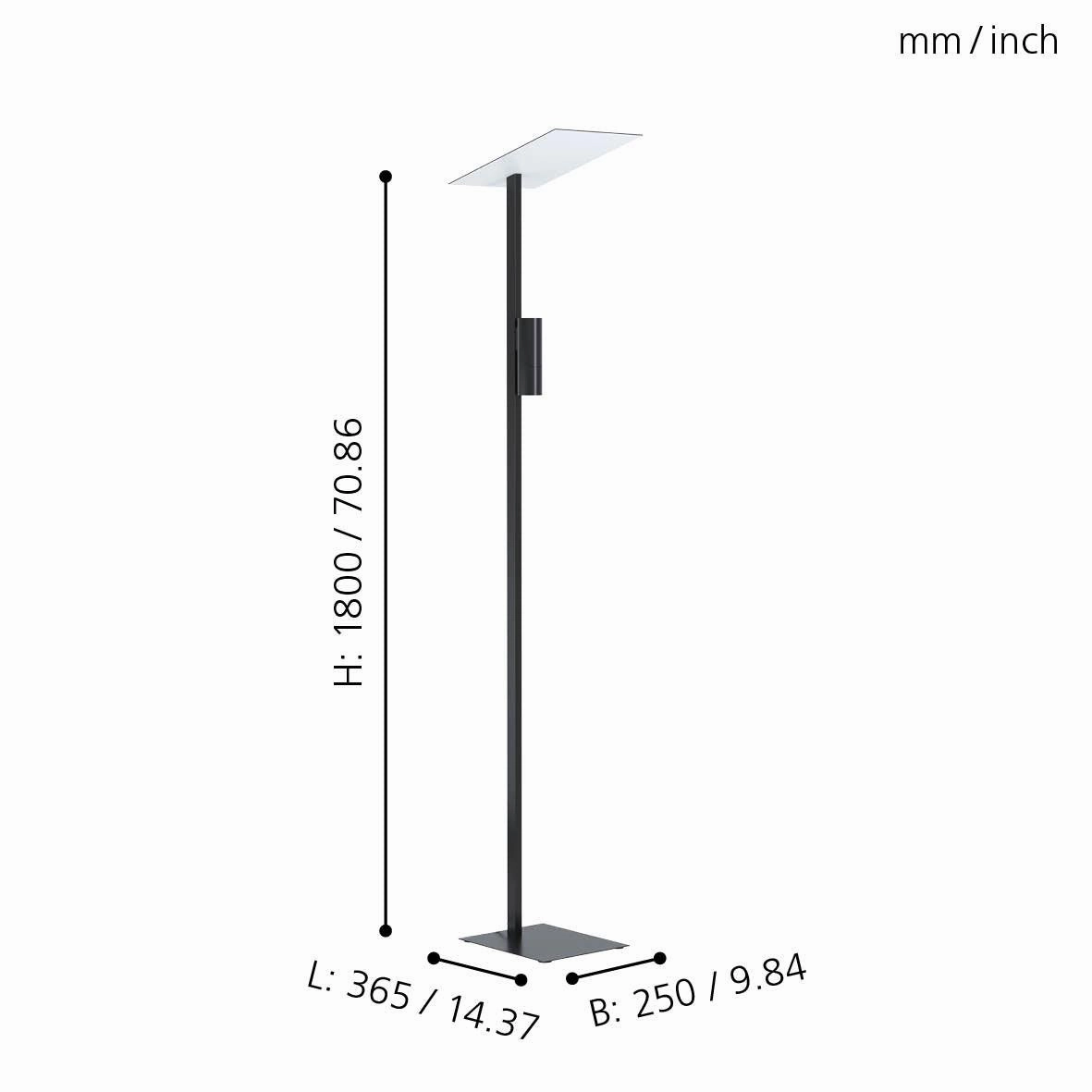 Eglo Budensea Modern Black Floor Lamp