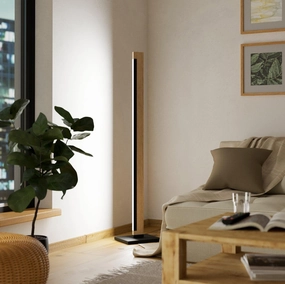 Eglo Camacho LED Black & WoodenTouch Floor Lamp creative lampshade design