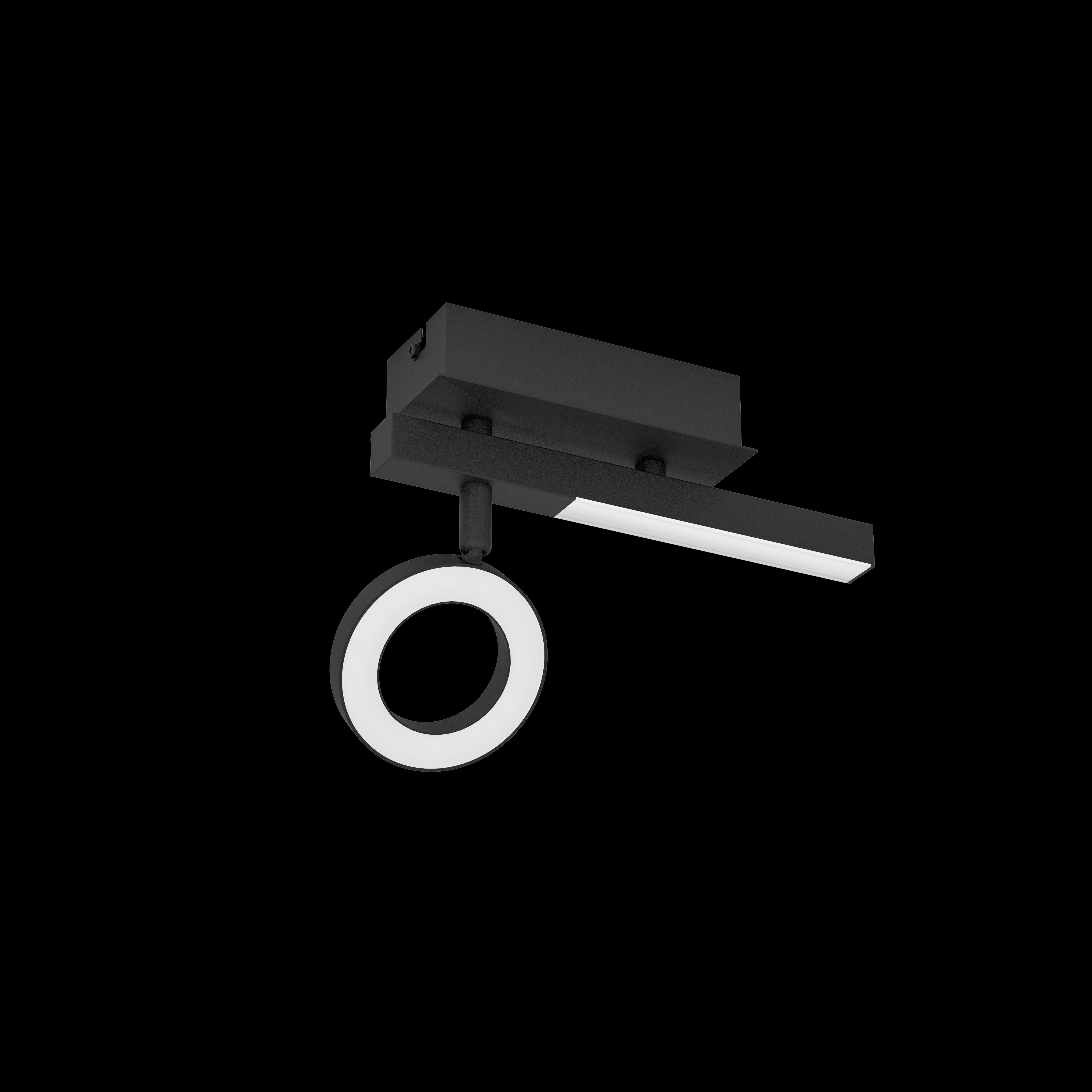 Eglo Cardillio 2 LED Black Wall Spotlight
