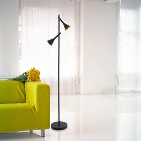 Eglo Cortaderas 2 Light Black & Gold Spotlight Floor Lamp creative lampshade design