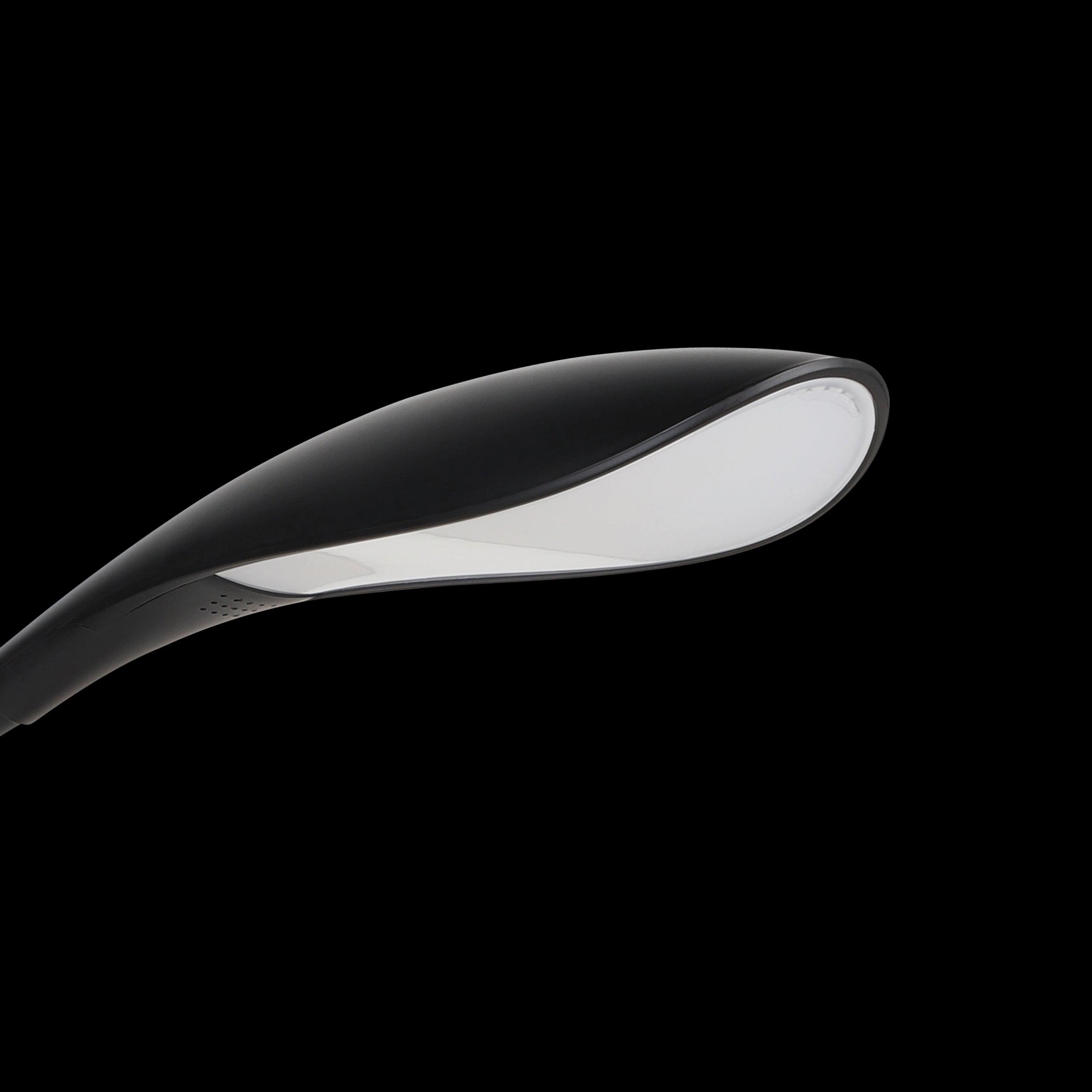 Eglo Dambera Black Flexible LED Lamp
