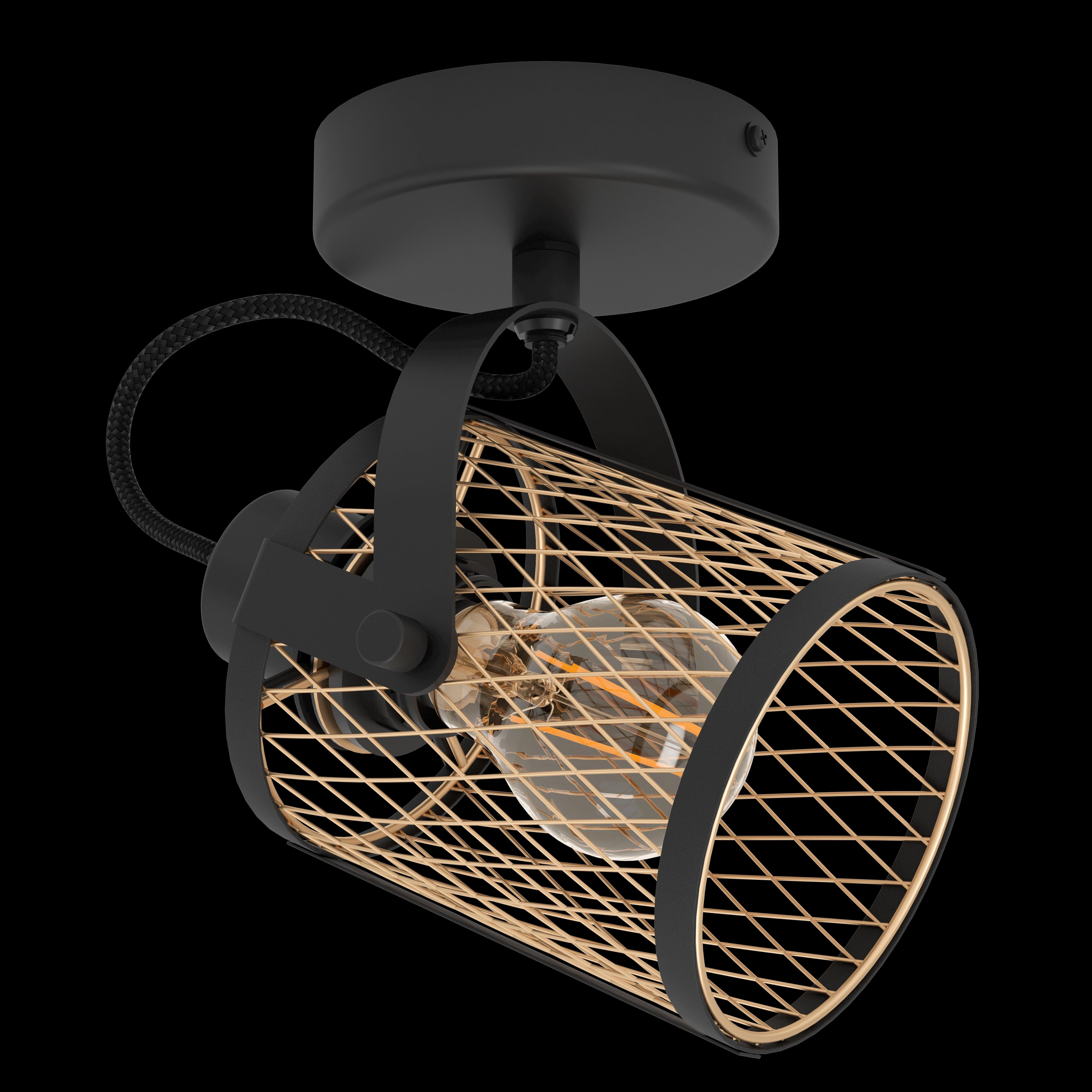 Eglo Dellow Brass Mesh & Black Spotlight