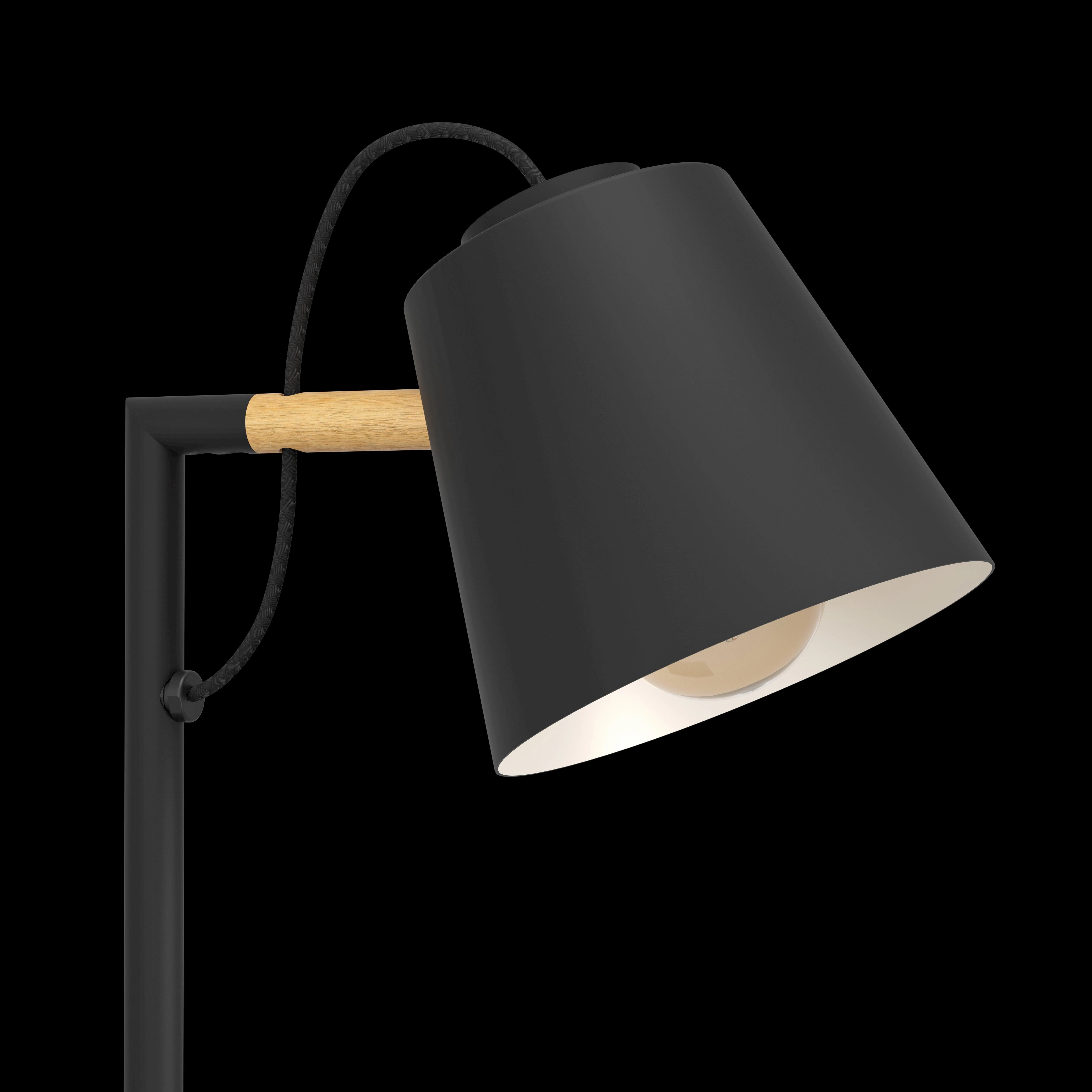 Eglo Lacey Black Metal Nordic Style Floor Lamp