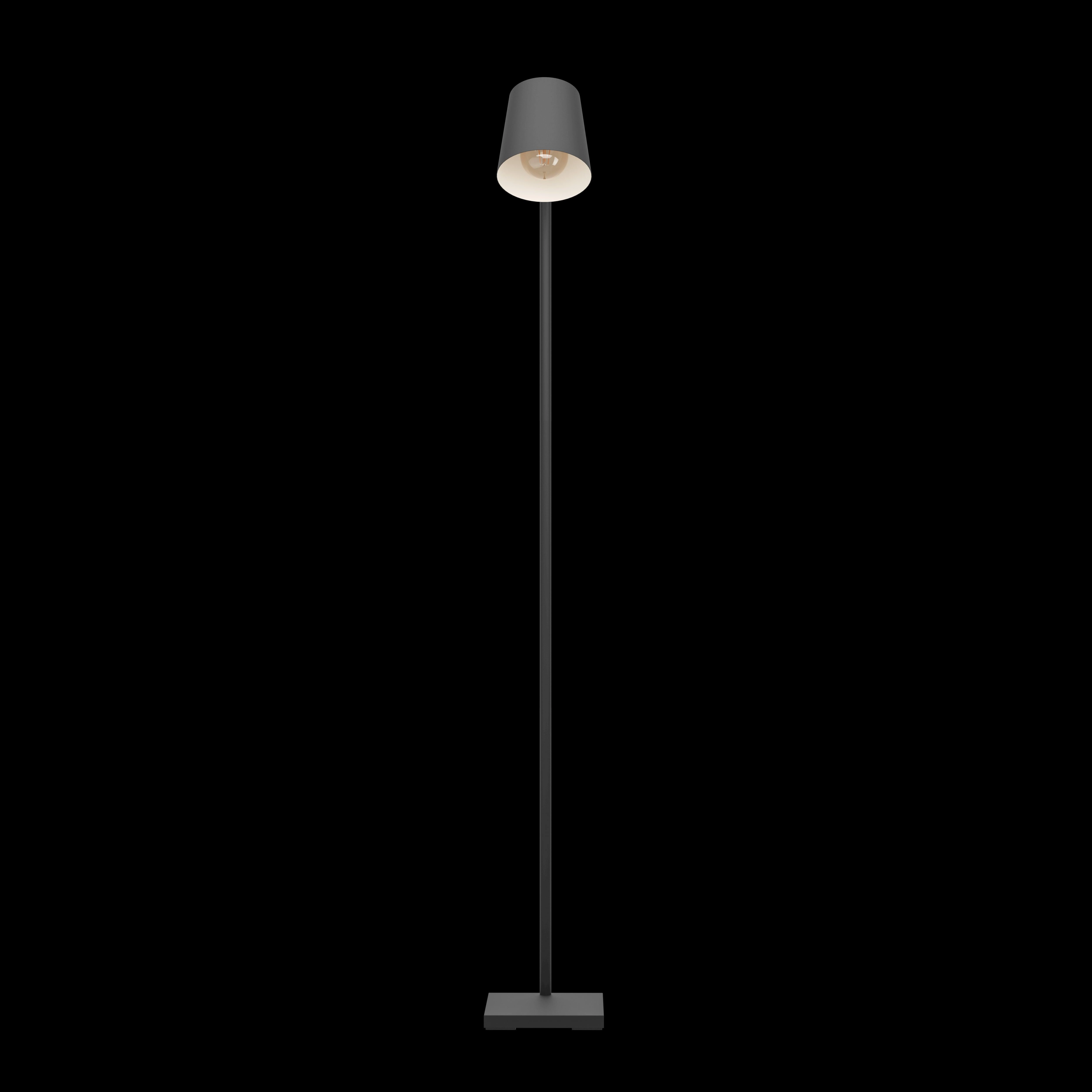 Eglo Lacey Black Metal Nordic Style Floor Lamp