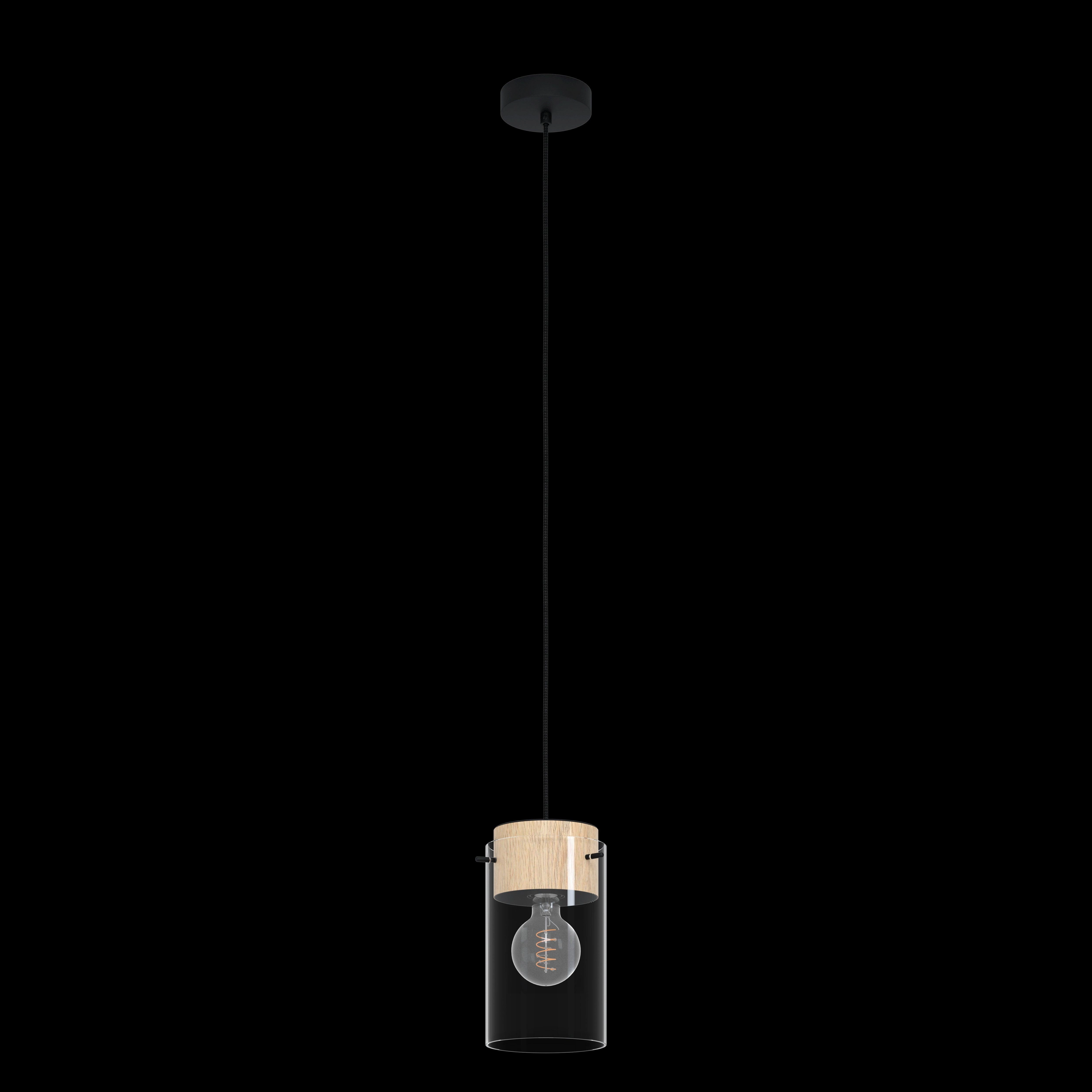 Eglo Madreselva Clear Glass Shade Ceiling Pendant