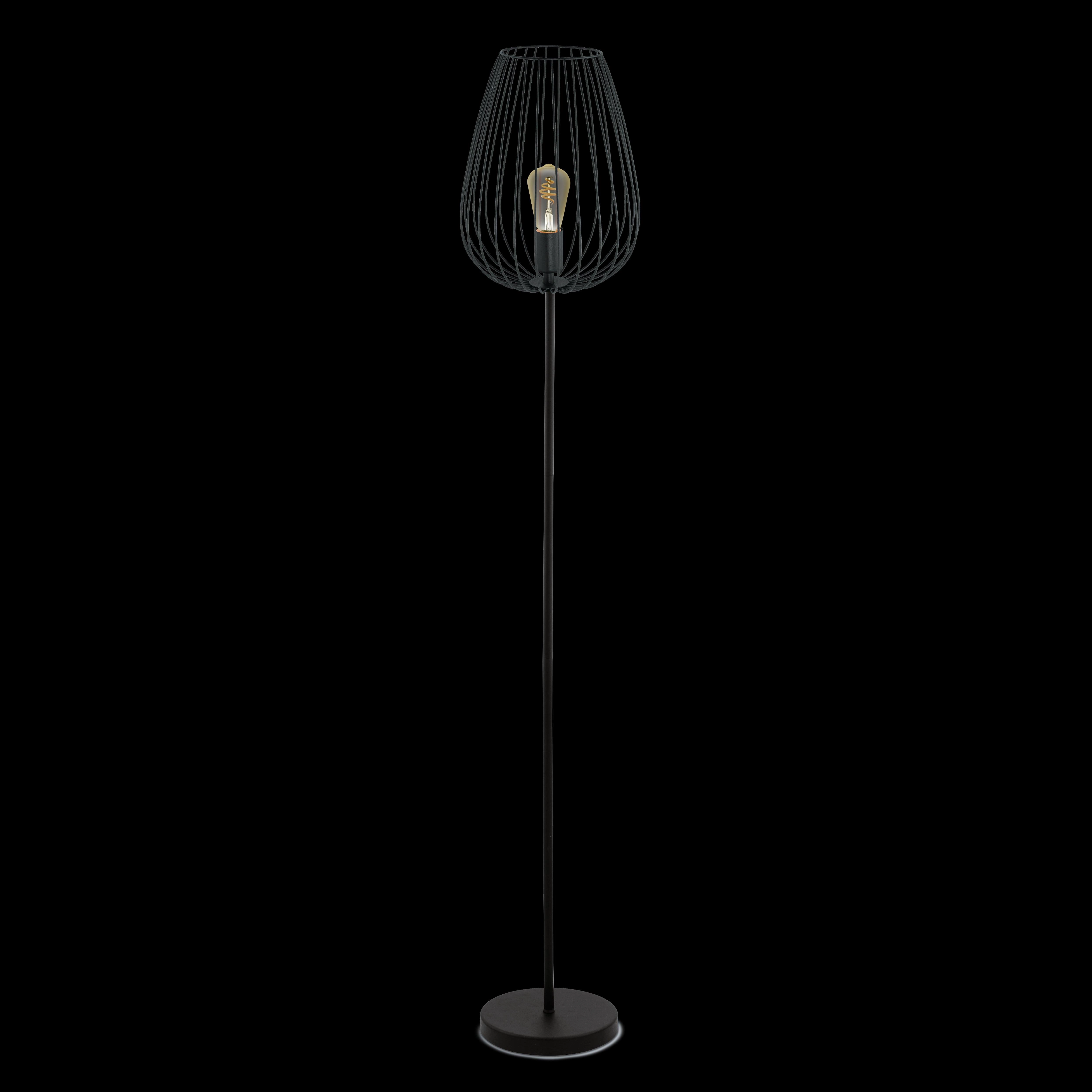 Eglo Newtown Black Floor Lamp With Wire Lampshade