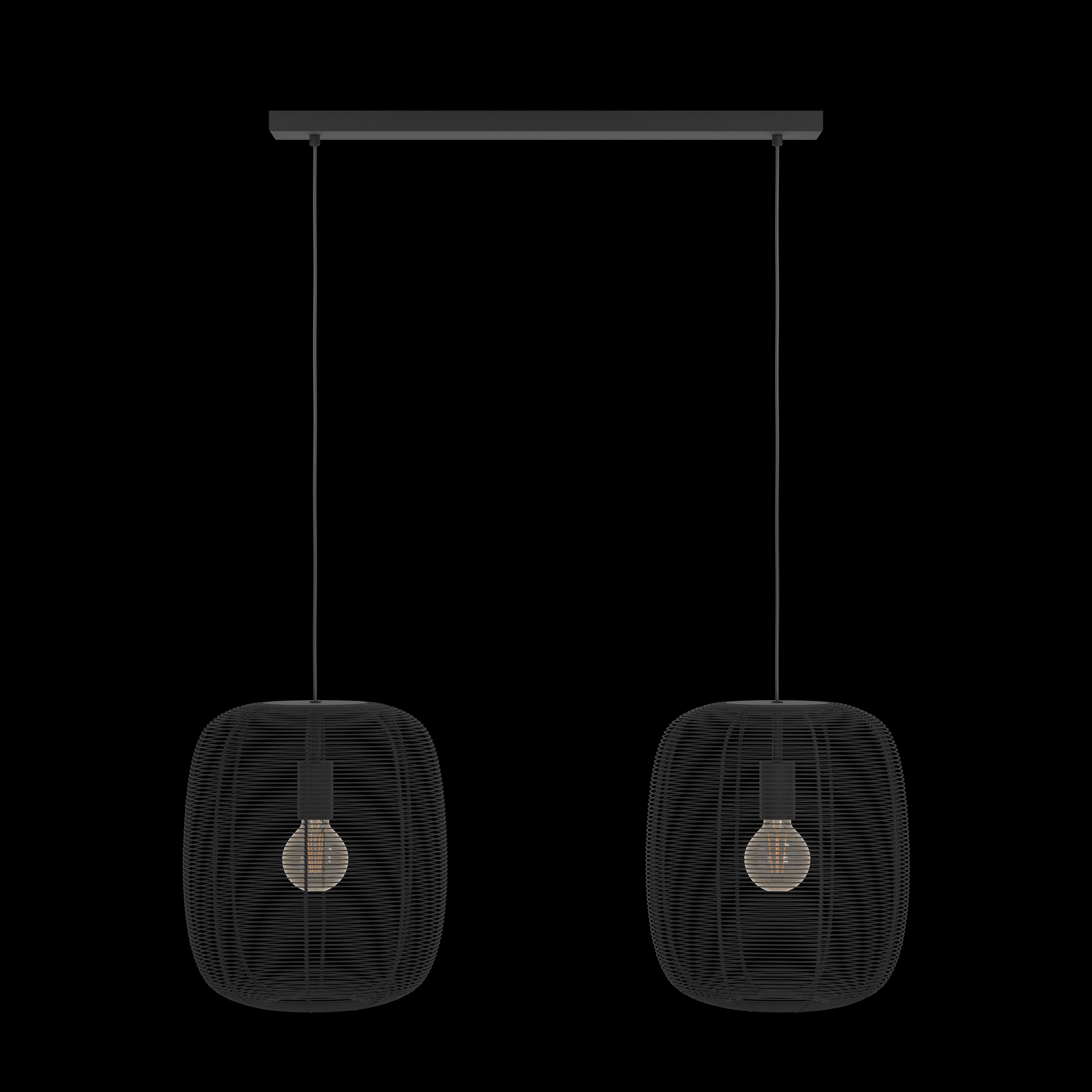 Eglo Rinroe 2 Light Industrial Wire-caged Black Ceiling Pendant