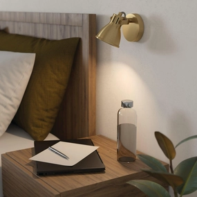 Eglo Seras Brass Wall Spotlight tall arc lamp for living room