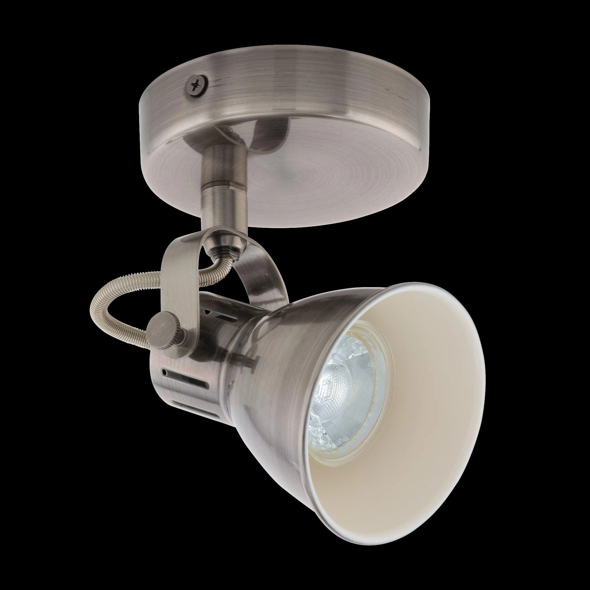Eglo Seras Nickel Wall Spotlight