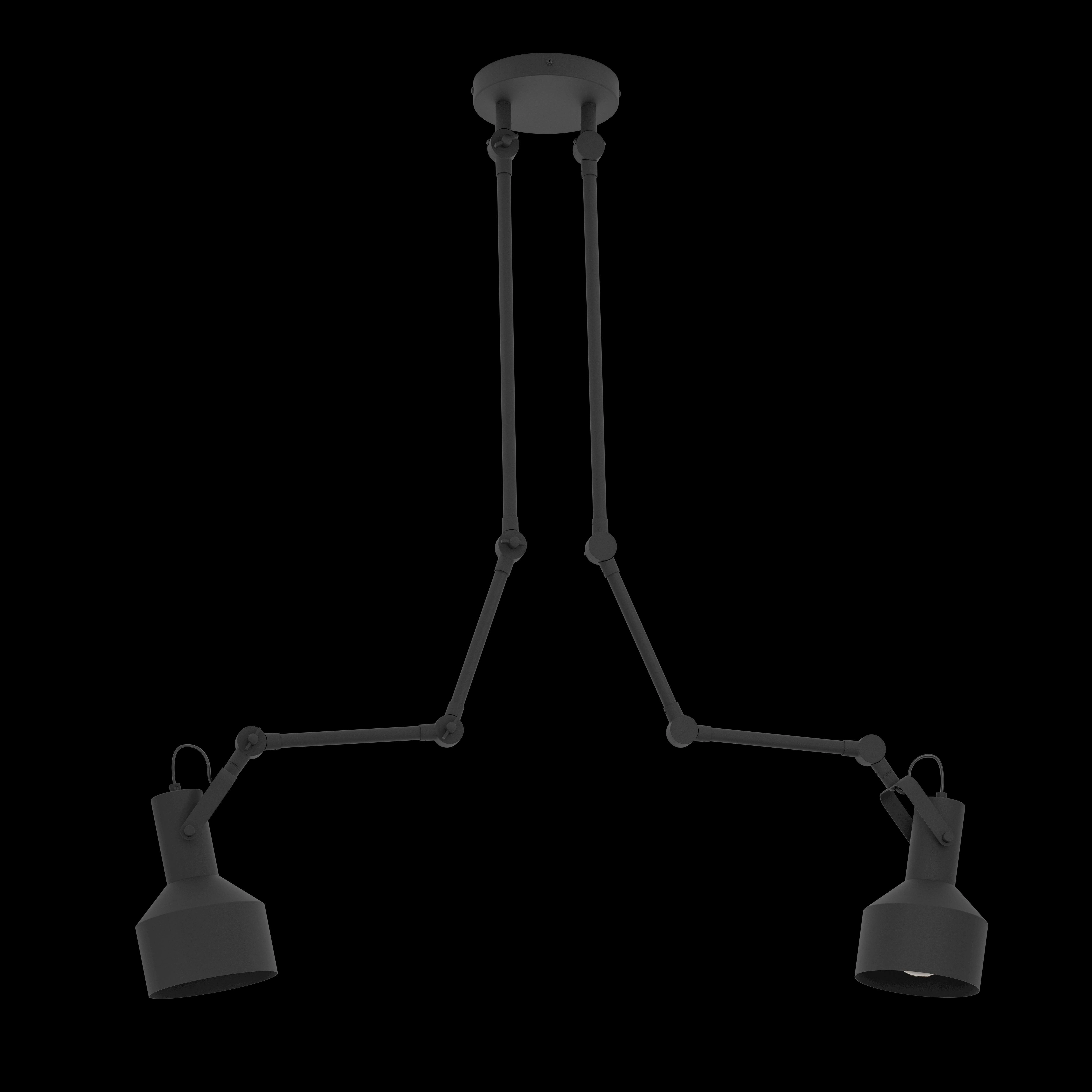 Eglo Takeley Adjustable 2 Light Black Metal Spotlight