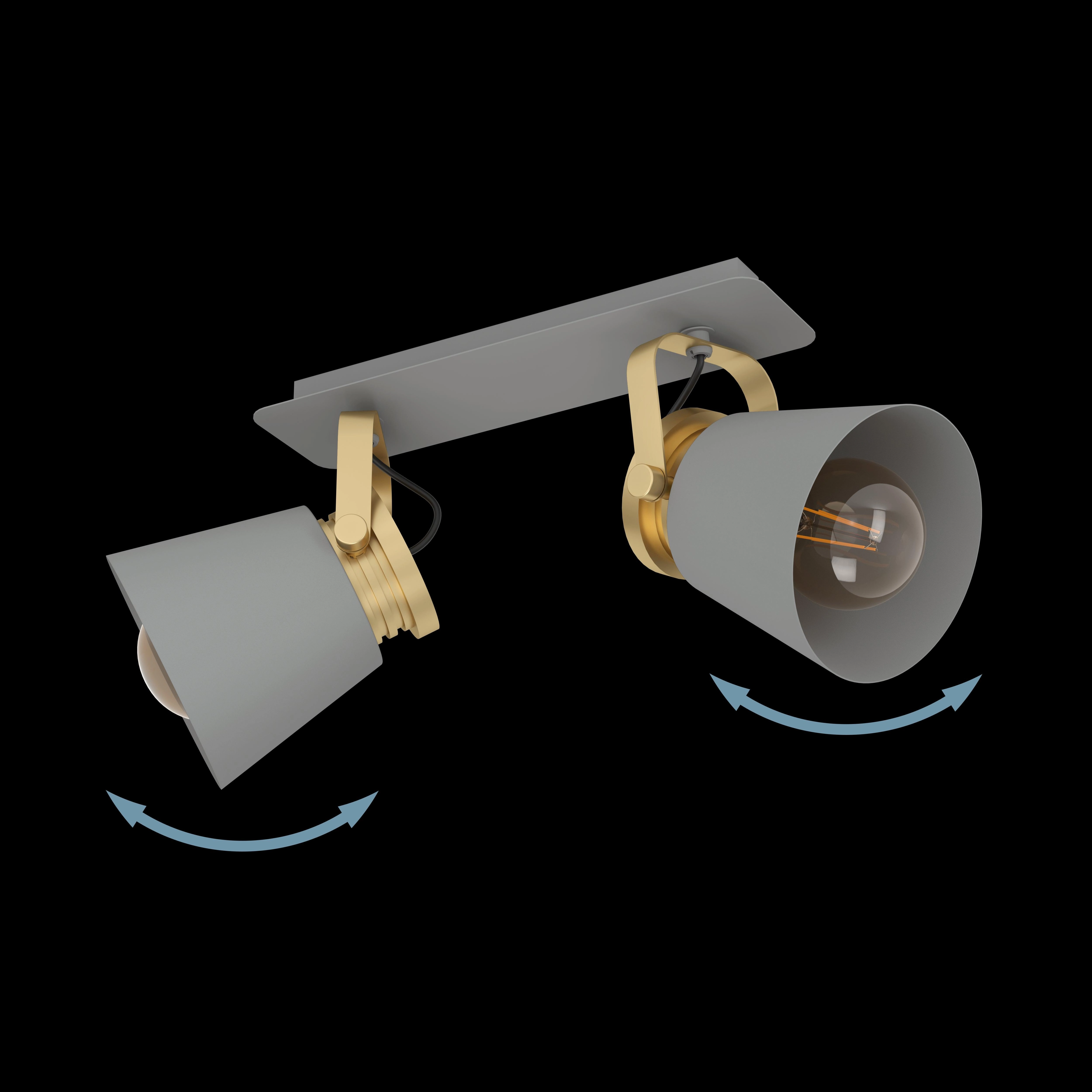 Eglo Twicken Grey & Gold 2 Light Bar Spotlight