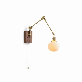 Elia Swing Arm Wall Lamp designer outdoor lamp