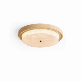 Elora Ceiling Lamp recessed ceiling spot lamp