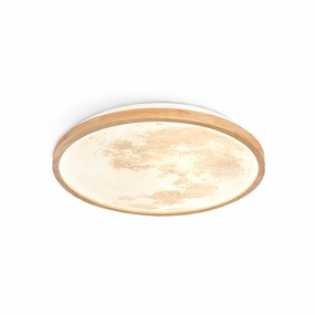 Emiva Ceiling Lamp recessed ceiling spot lamp