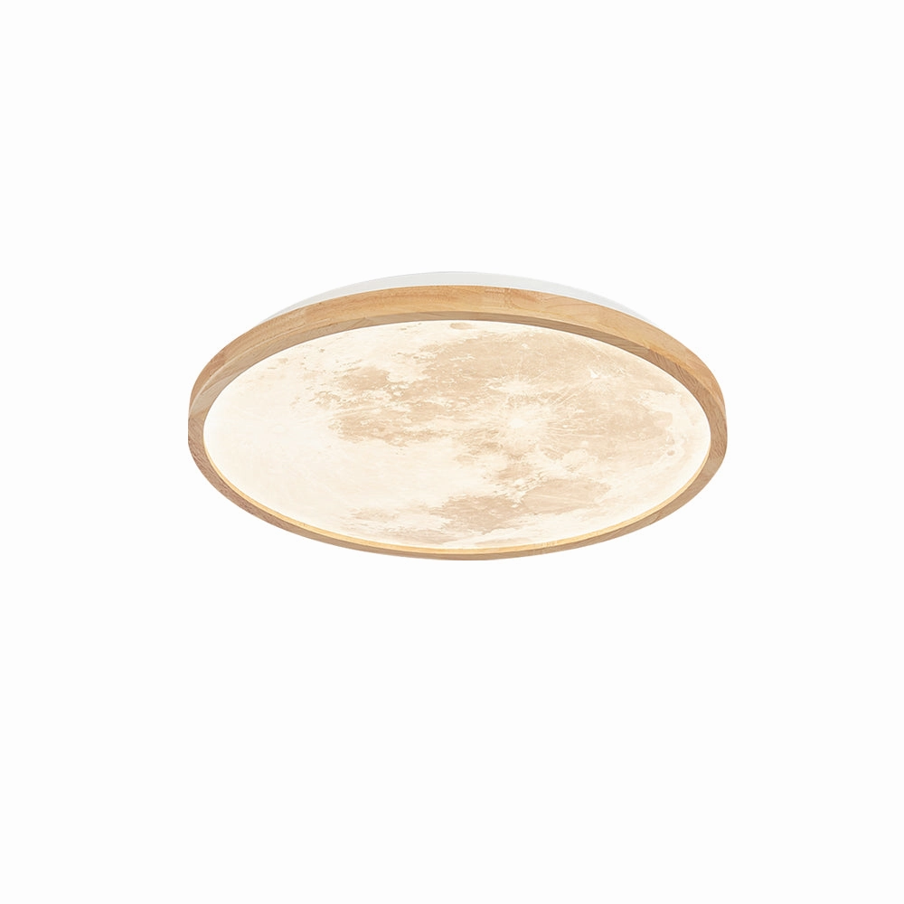 Emiva Ceiling Lamp