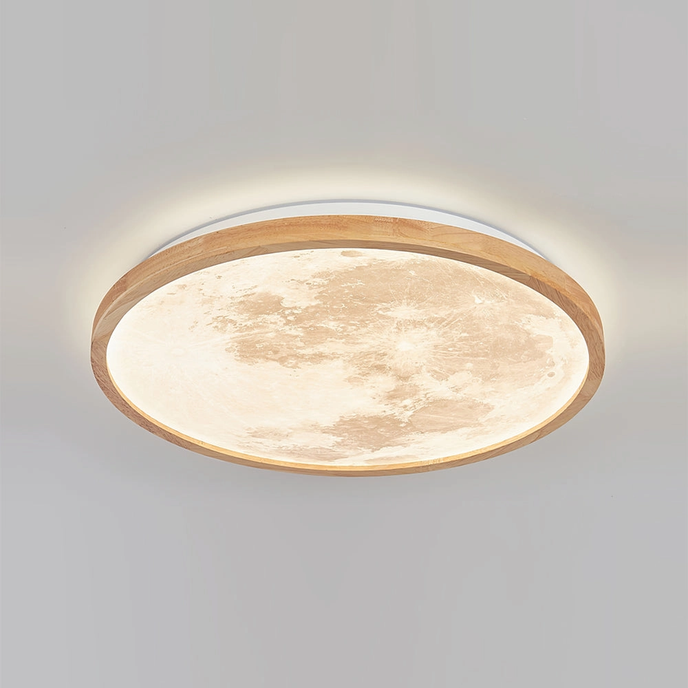 Emiva Ceiling Lamp