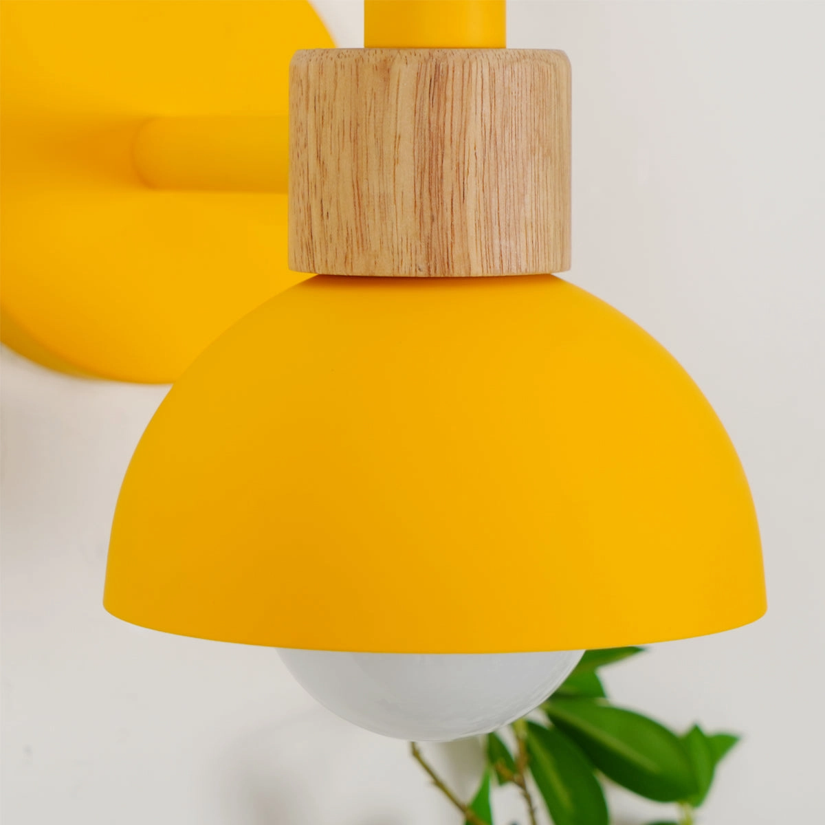 Fanta Wall Lamp