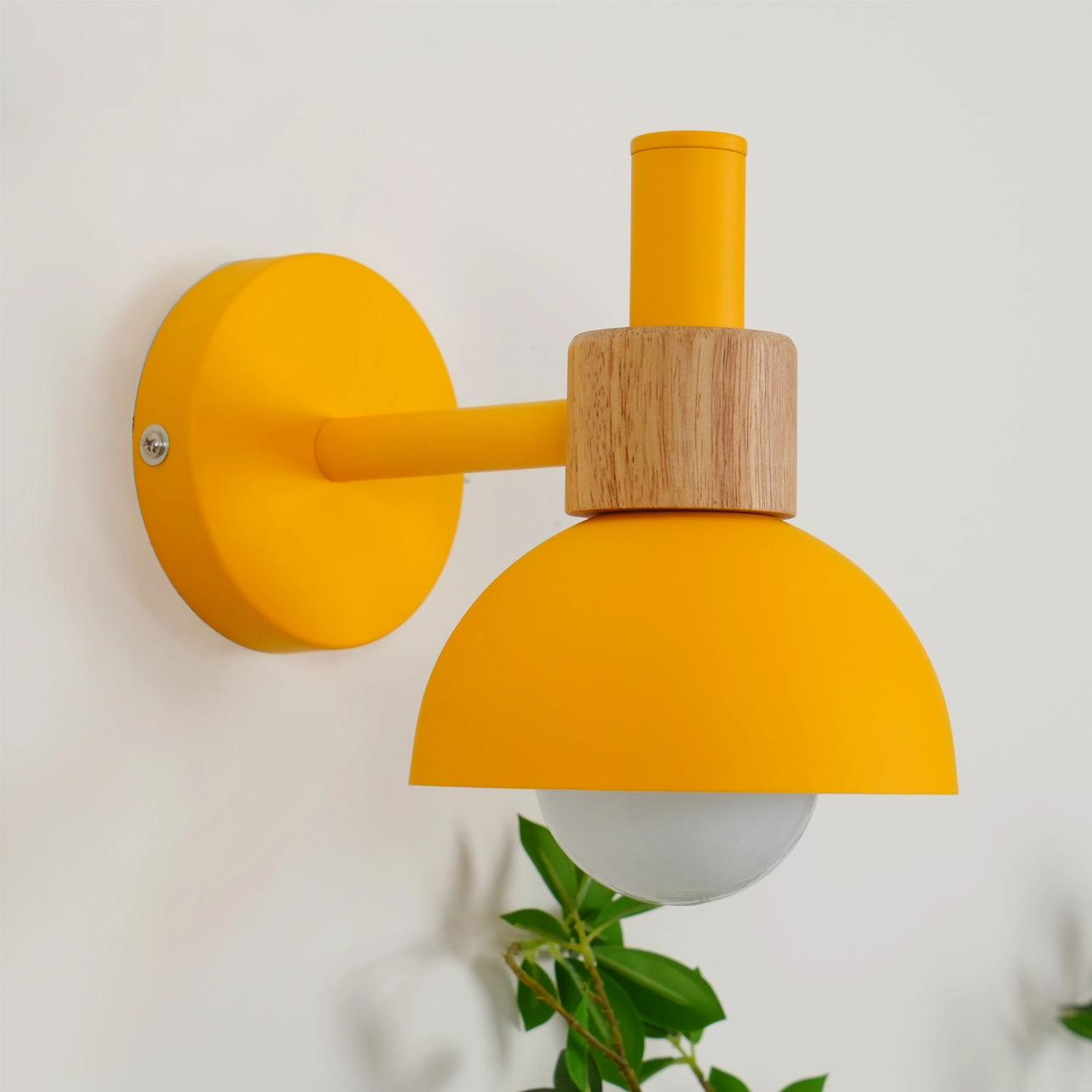 Fanta Wall Lamp