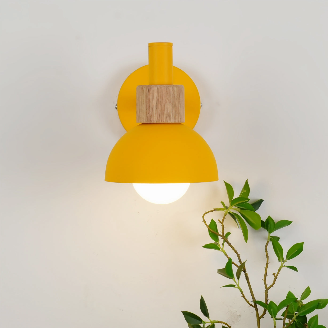 Fanta Wall Lamp