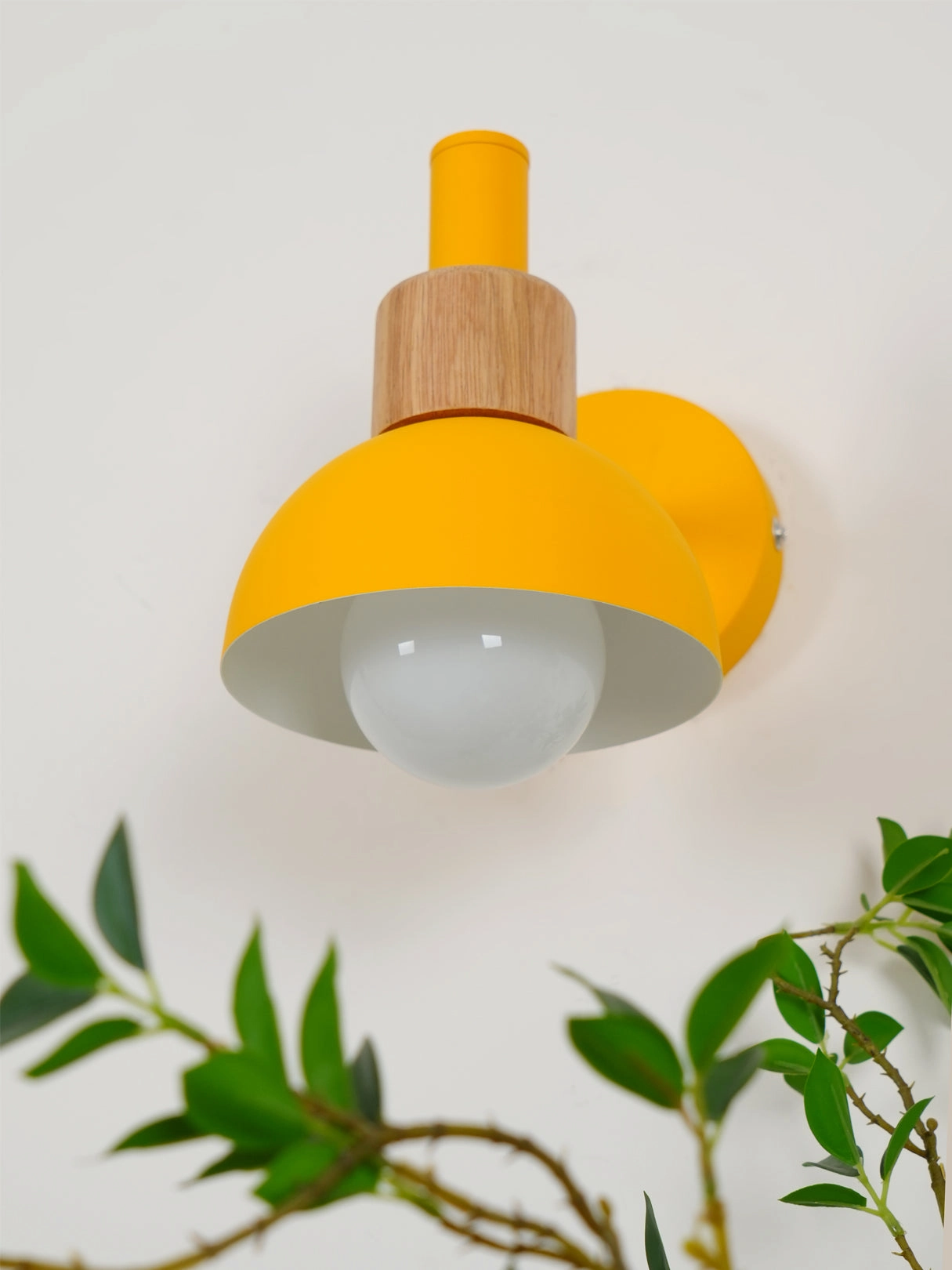 Fanta Wall Lamp
