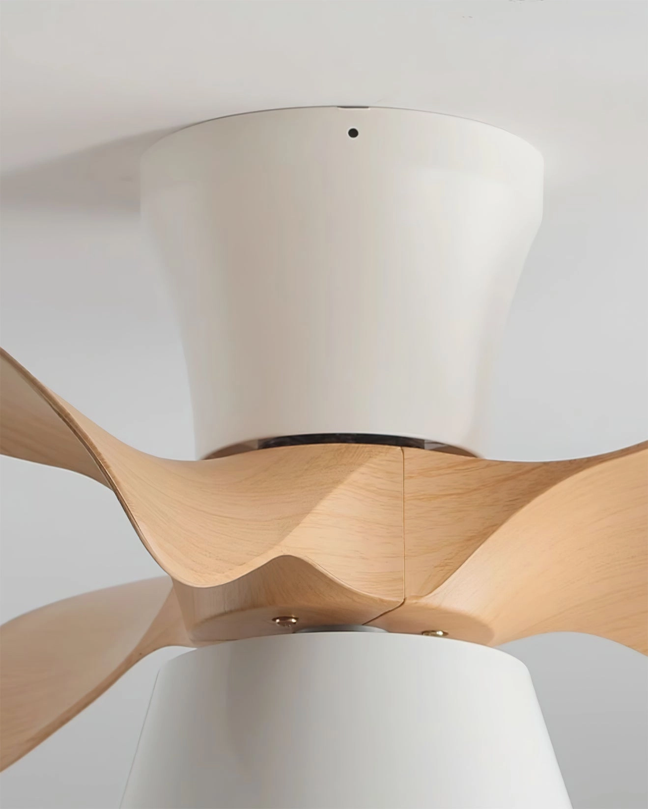 Fetcoi Ceiling Fan Light