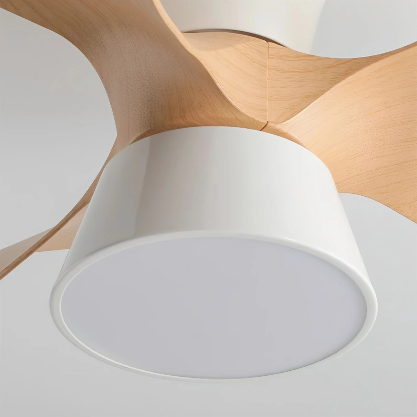 Fetcoi Ceiling Fan Light