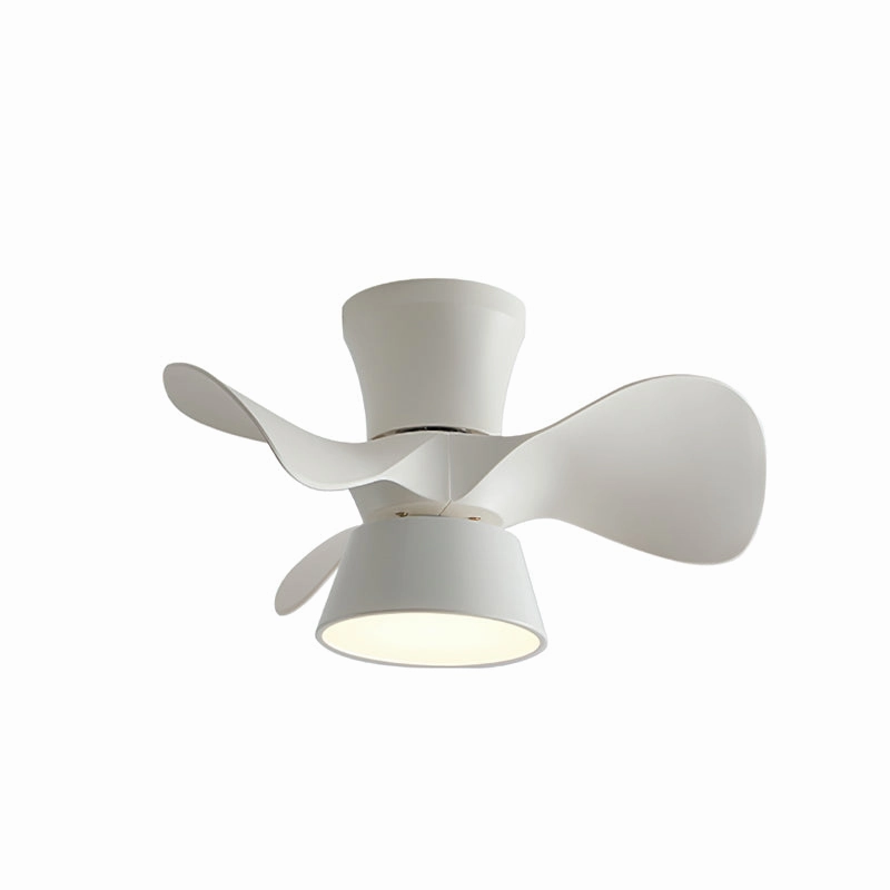 Fetcoi Ceiling Fan Light