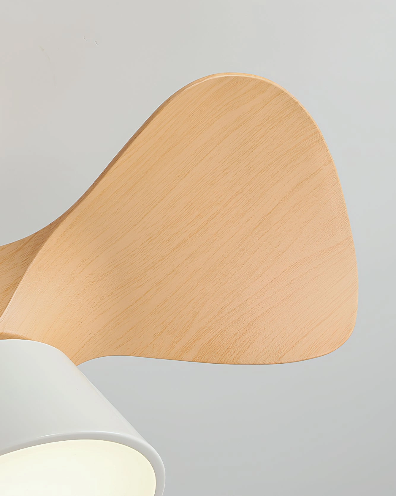 Fetcoi Ceiling Fan Light
