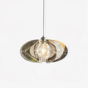 Fish Thread Pendant Lamp surface mount ceiling lamp