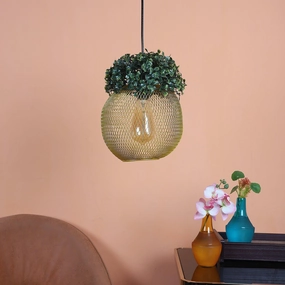 Golden Glass Iron Hanging Lights decorative ceiling fixture