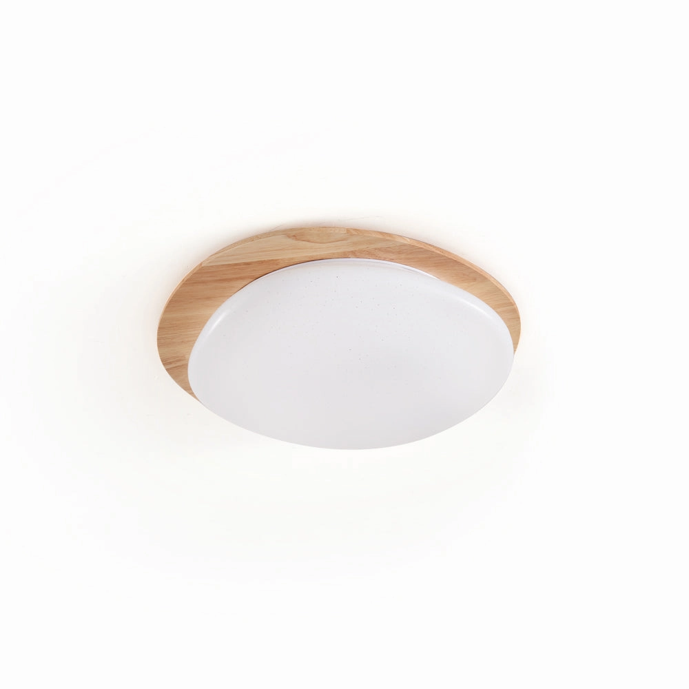 Gregg Ceiling Lamp recessed ceiling spot lamp
