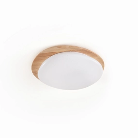 Gregg Ceiling Lamp recessed ceiling spot lamp