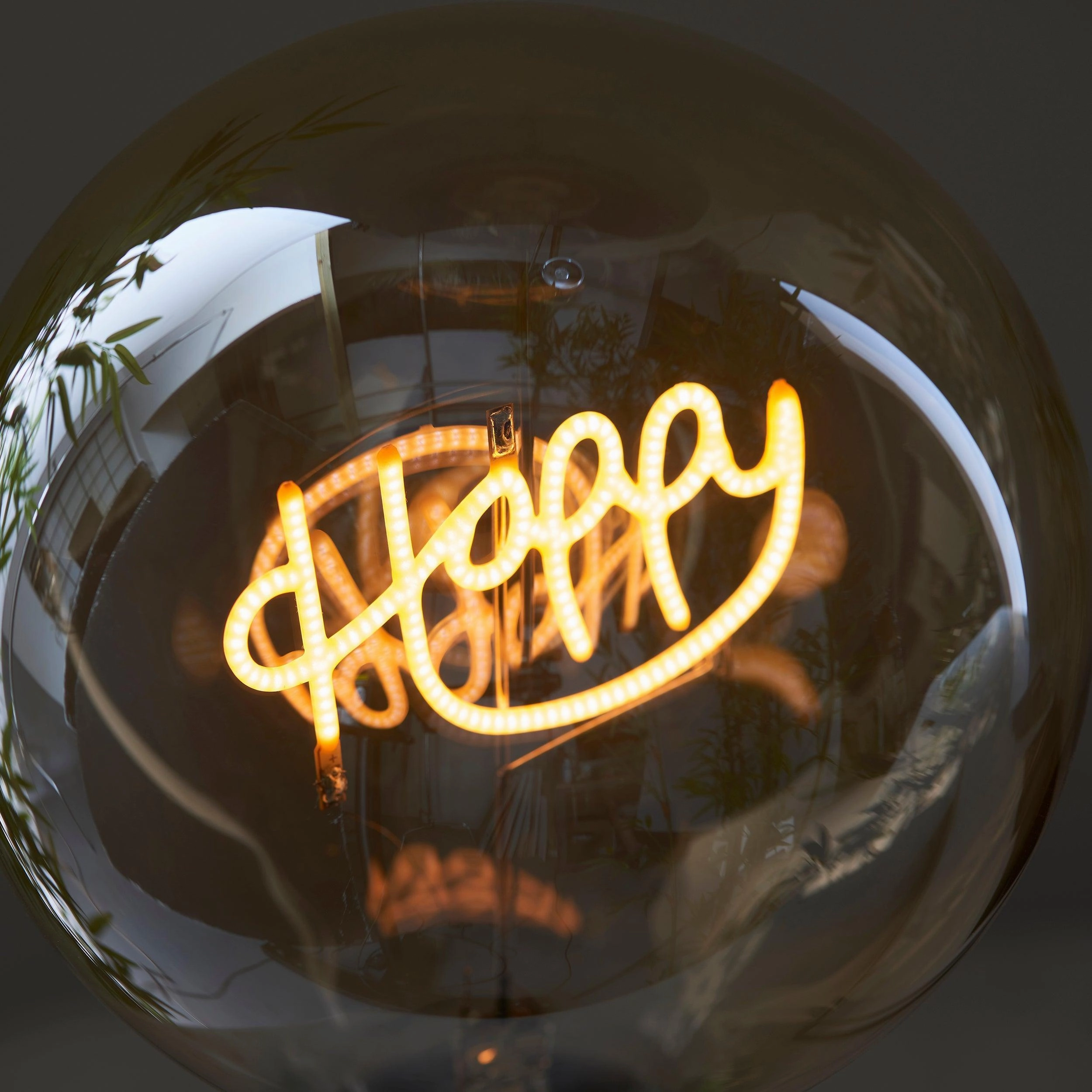 Happy LED Filament Amber Globe Decorative 2w Light Bulb