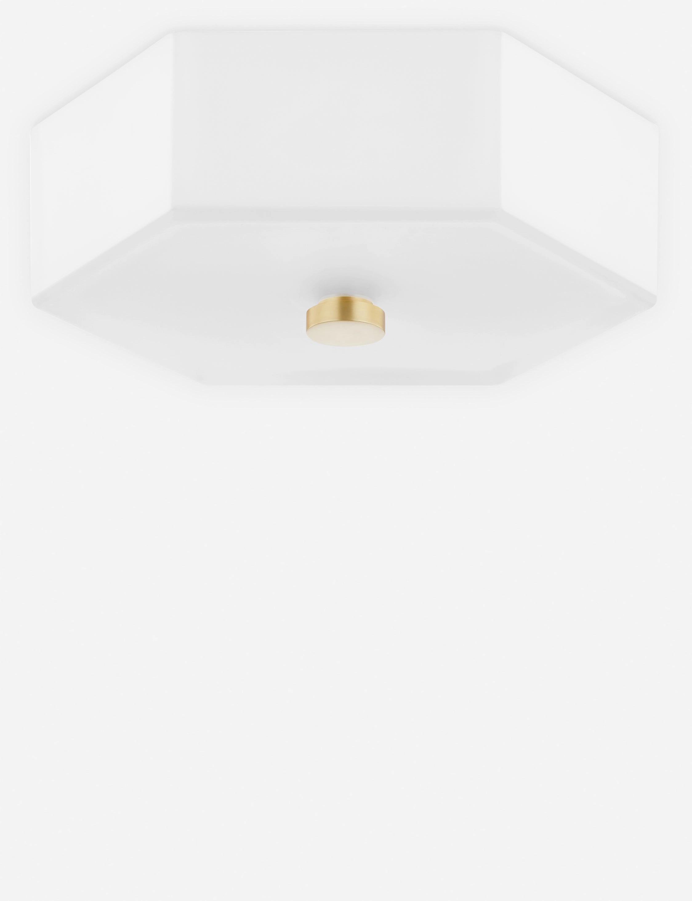 Hettie Flush Mount adjustable floor standing lamp