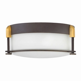 Hinkley Colbin Small Flush Bronze Bathroom Ceiling Light ambient ceiling fixture