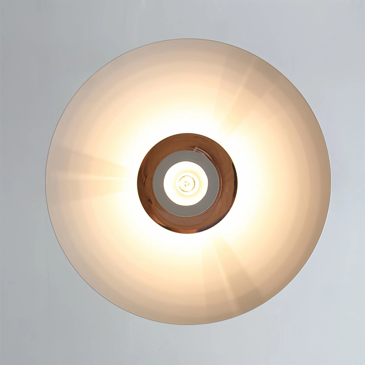 JL 341 Pendant Light