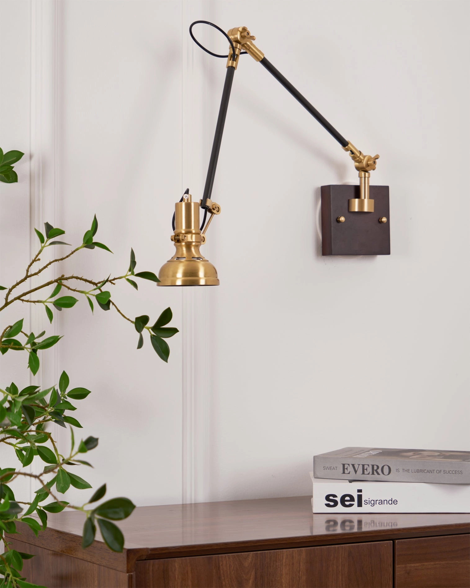Kane Swing Arm Wall Lamp