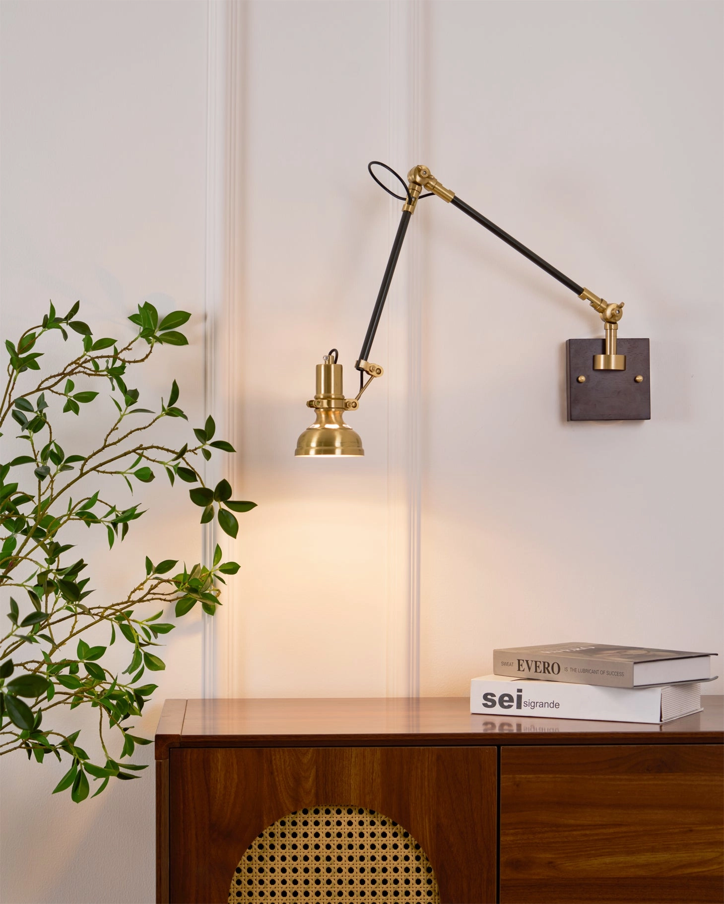Kane Swing Arm Wall Lamp