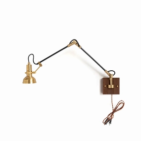 Kane Swing Plug In Wall Lamp designer outdoor lamp