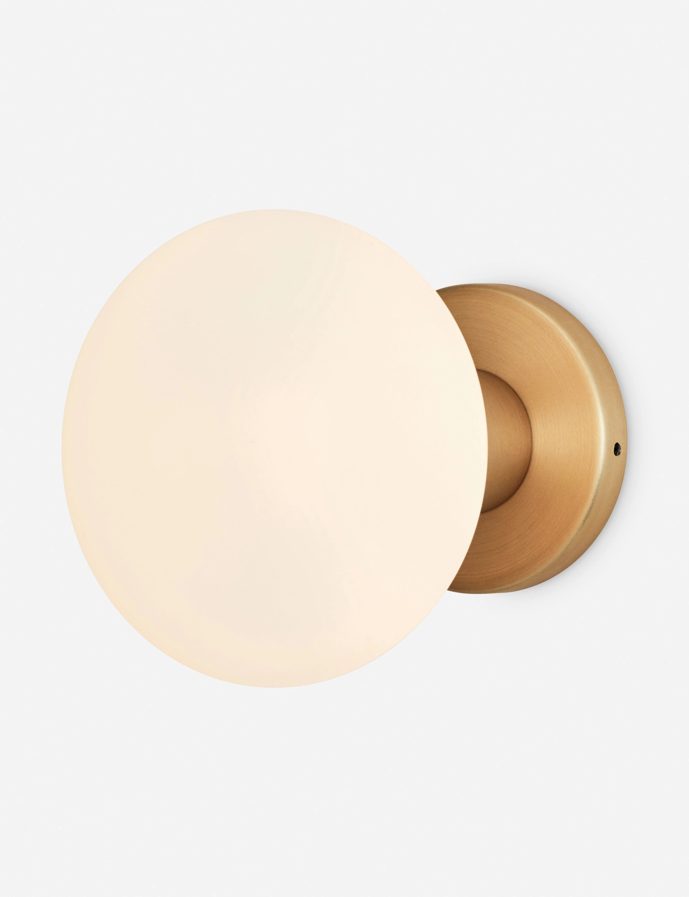 Lochan Outdoor Sconce with Oval by Tala vintage desk lamp