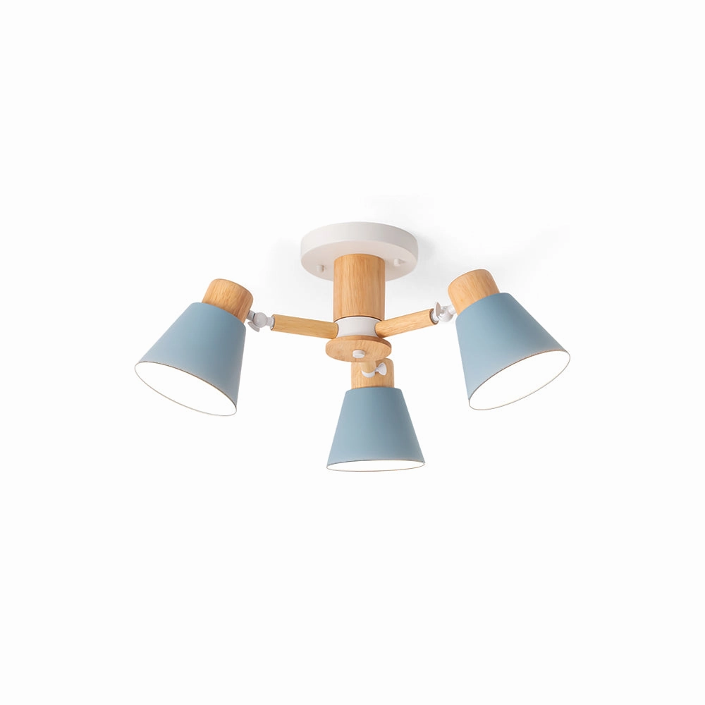 Loona Ceiling Lamp recessed ceiling spot lamp