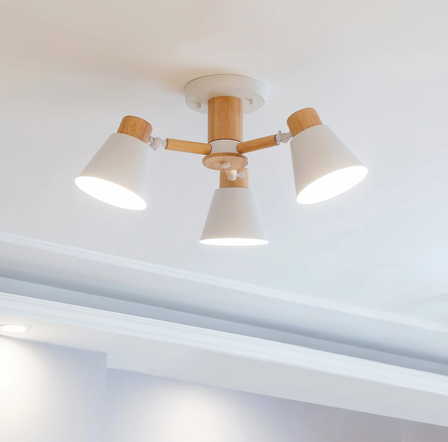 Loona Ceiling Lamp