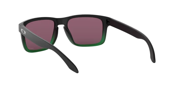 Oakley Holbrook OO9102 9102E4
