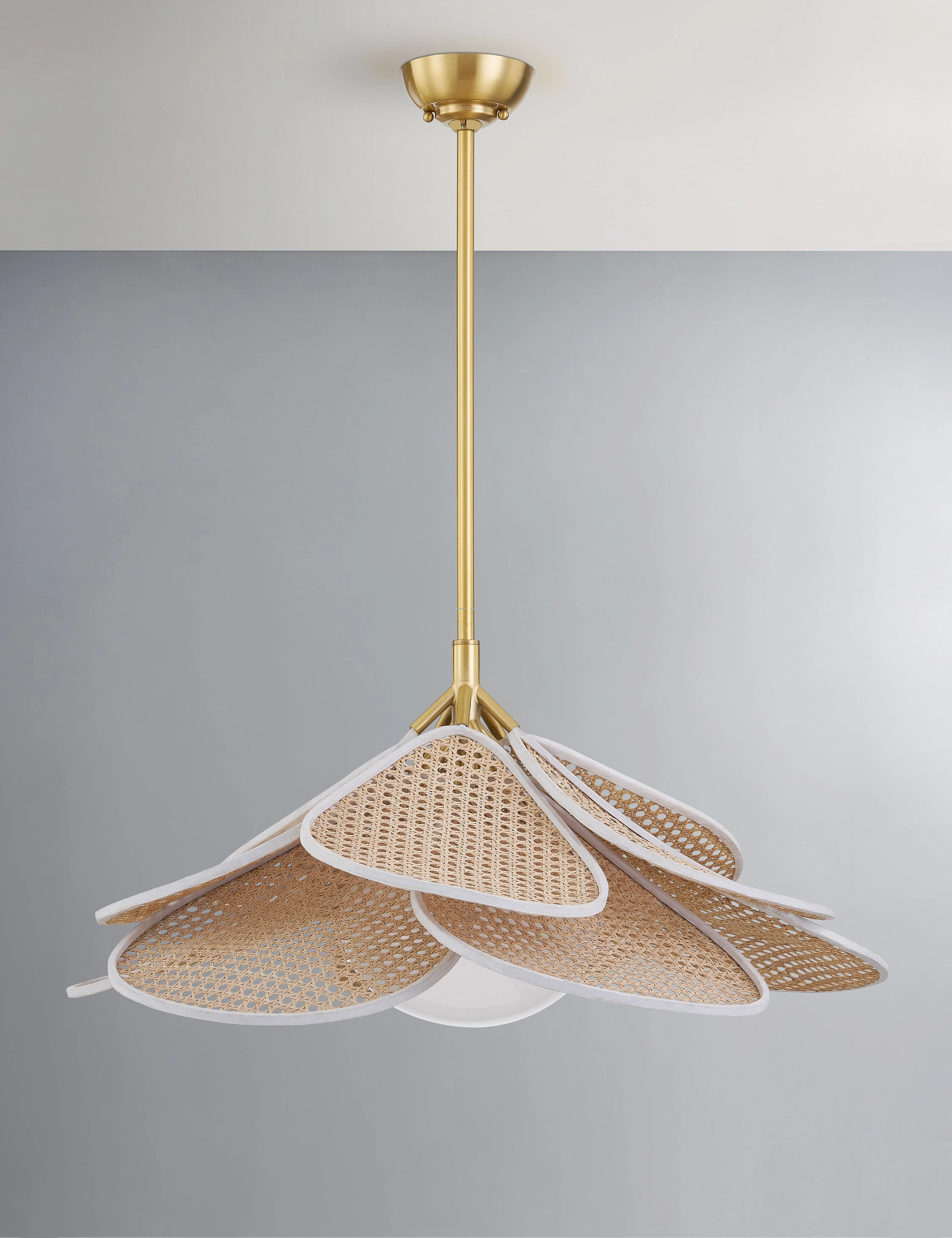 Odilia Pendant Light modern floor lamp