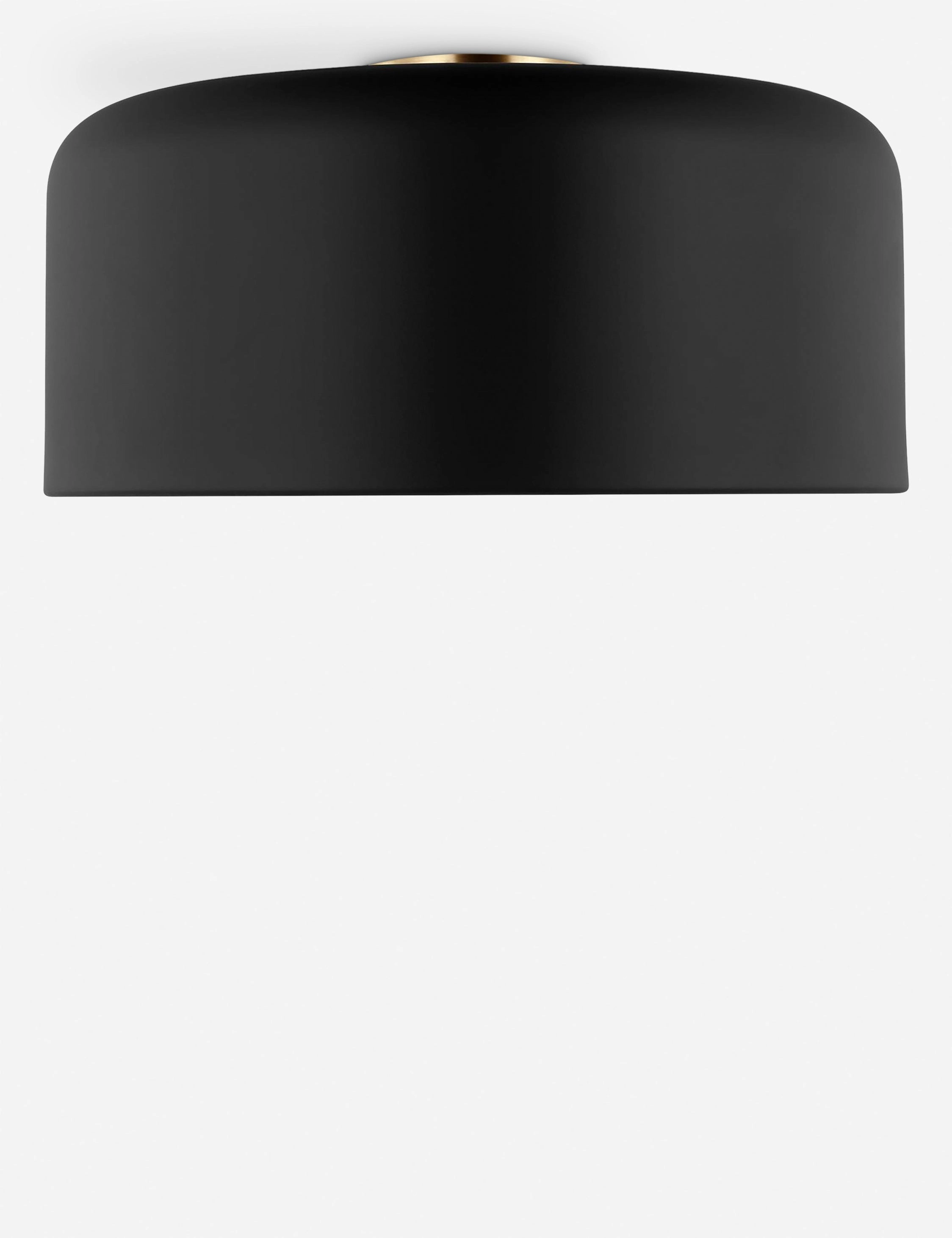 Olaf Flush Mount Light
