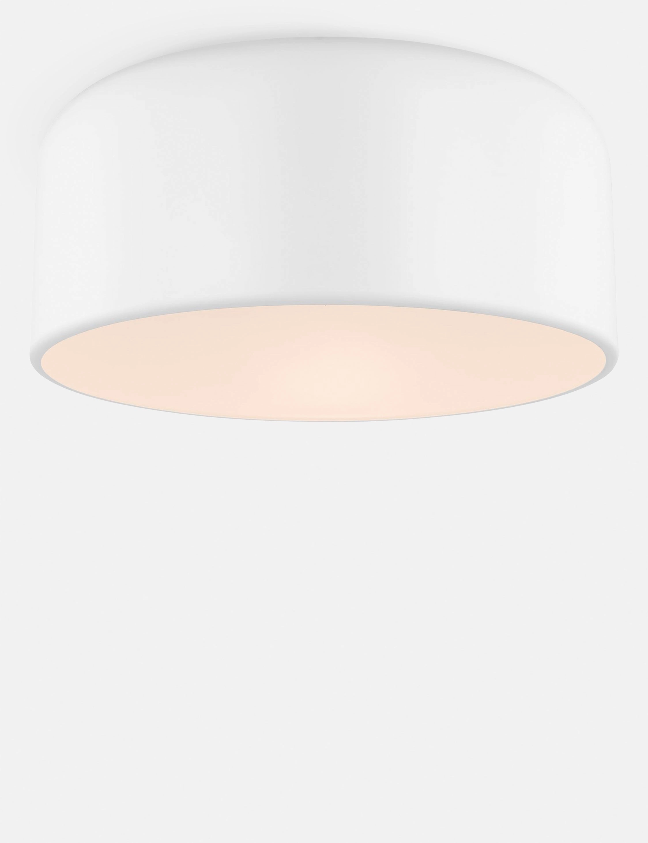Olaf Flush Mount Light