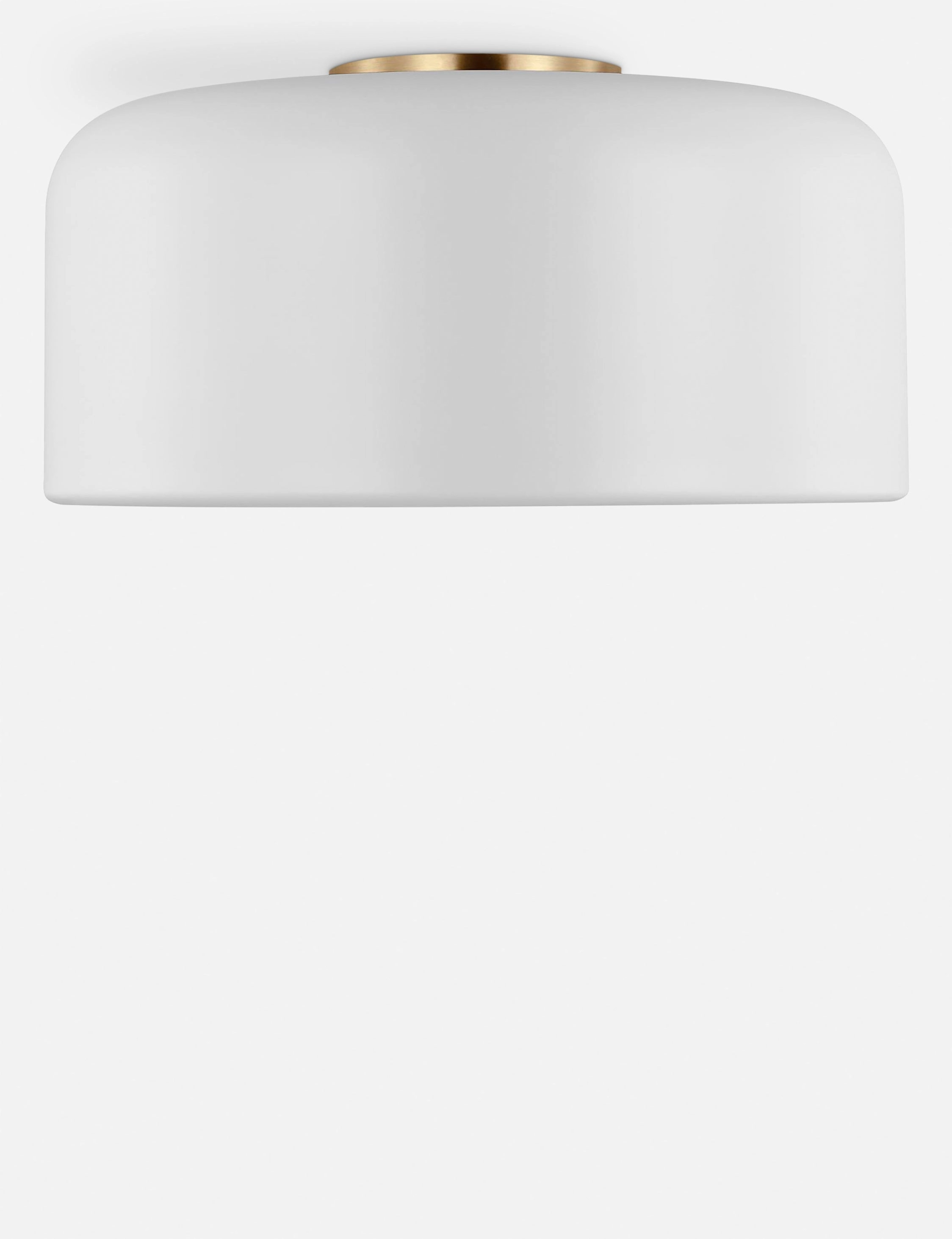 Olaf Flush Mount Light
